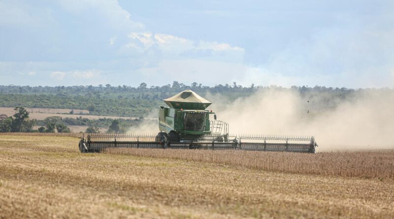 Para compreender e aplicar a sustentabilidade, é essencial entender seus pilares ambiental, social e econômico, e como eles s