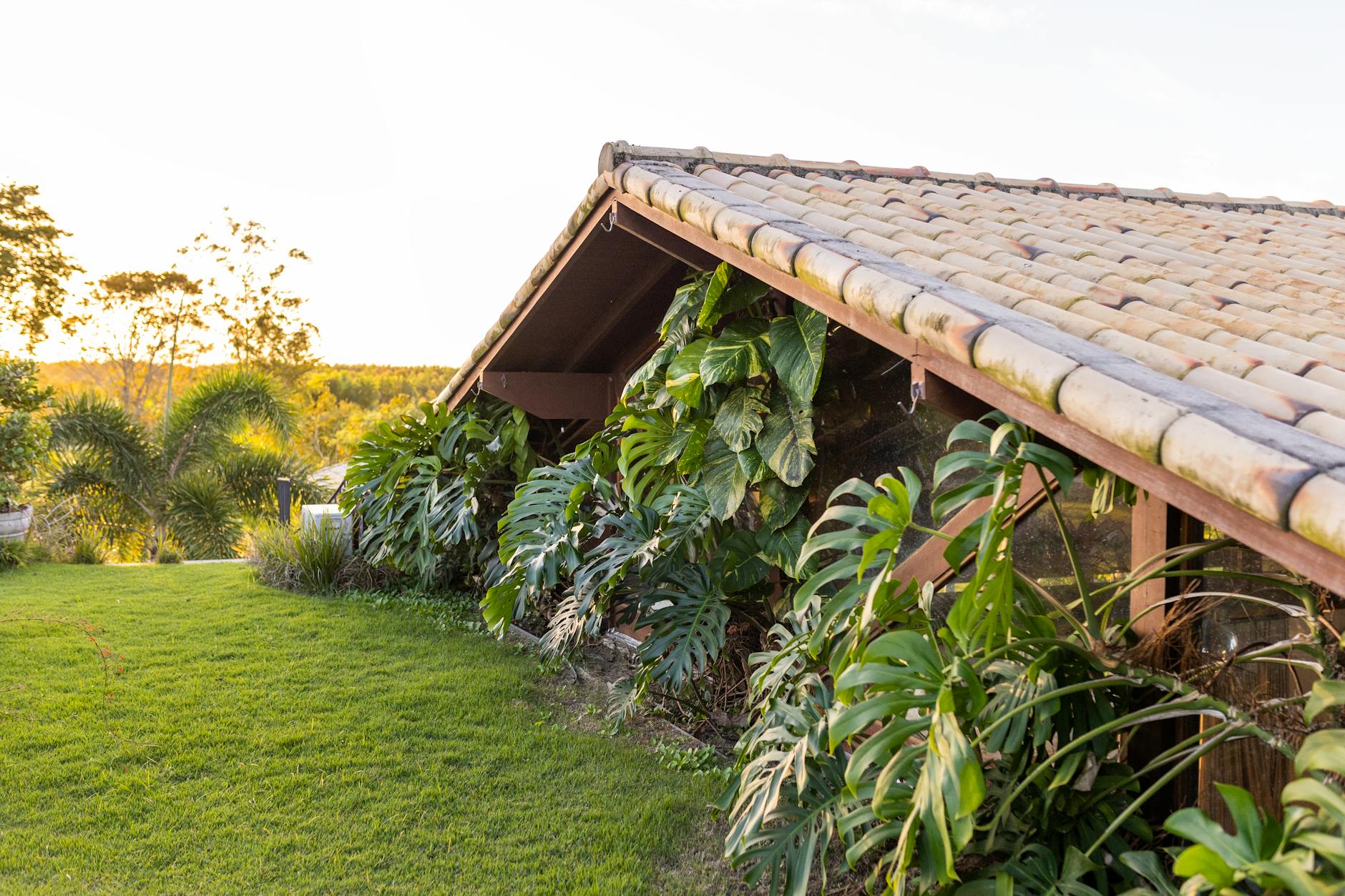 Cobertura Verde para Telhados: Telhado Jardim, Vantagens Sustentáveis e Guia Completo de Instalação