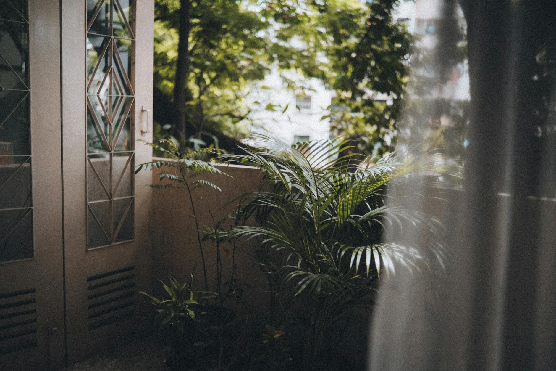 Varanda Pequena de Apartamento com Plantas: O Guia Completo para Decorar e Otimizar Seu Espaço Verde