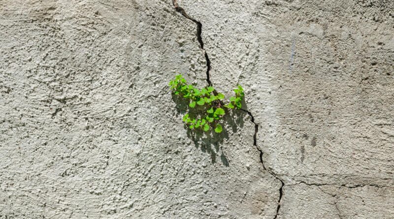 Como Desenvolver Resiliência: Estratégias Essenciais para Superar Dificuldades — como desenvolver resiliência diante das difi