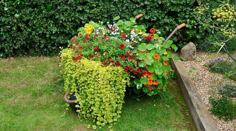 guia do jardim funcional