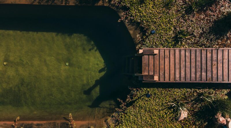 Piscinas Naturais Biológicas: Como Funcionam e o Guia Completo para Ter a Sua em Casa — piscinas naturais biológicas como fun