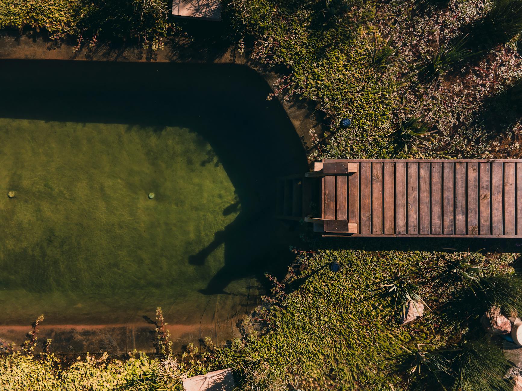 Piscinas Naturais Biológicas: Como Funcionam e o Guia Completo para Ter a Sua em Casa