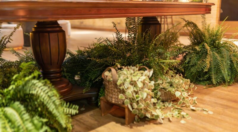 Plantas de Interior: O Guia Definitivo para Decorar, Purificar o Ar e Transformar seu Lar — plantas de interior para decorar