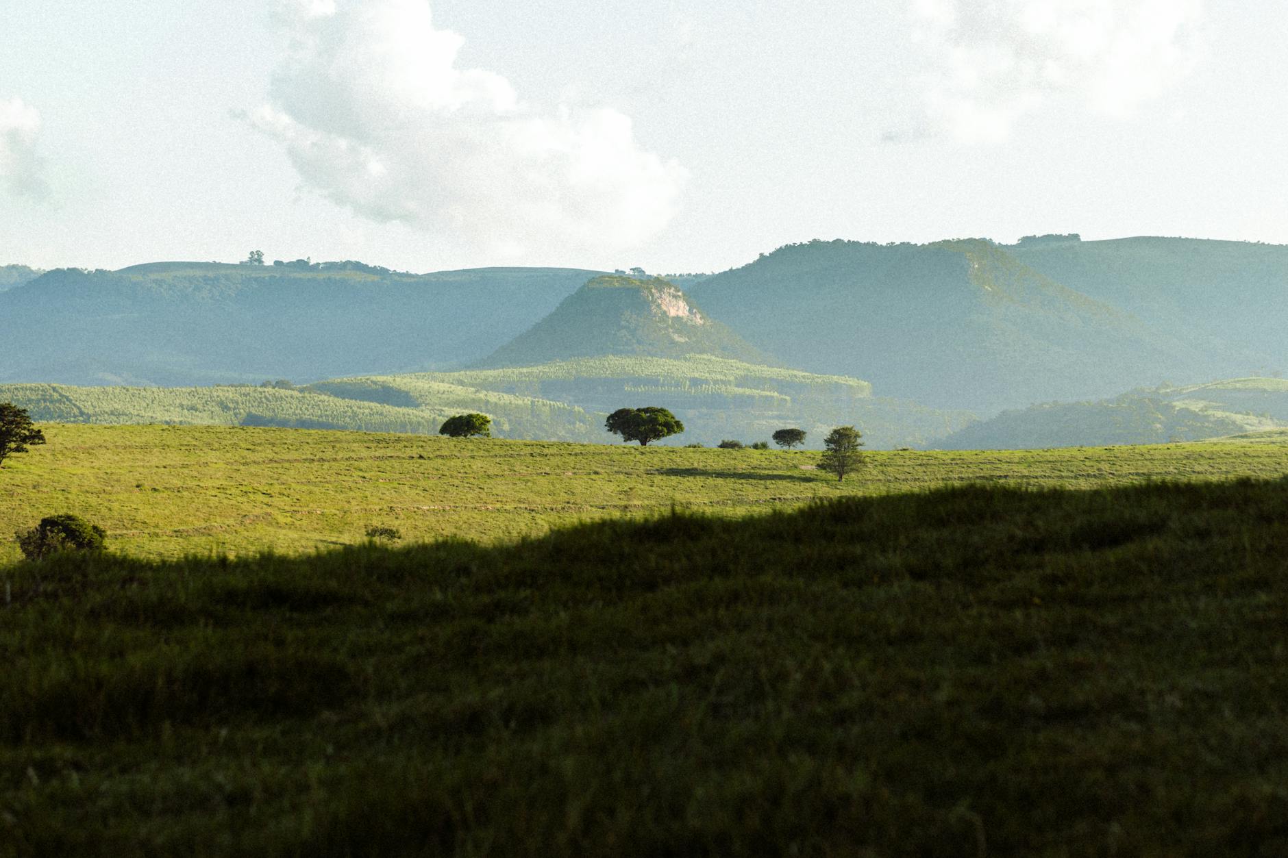 Dominando a Aquarela: Técnicas Essenciais para Paisagens Naturais Vibrantes