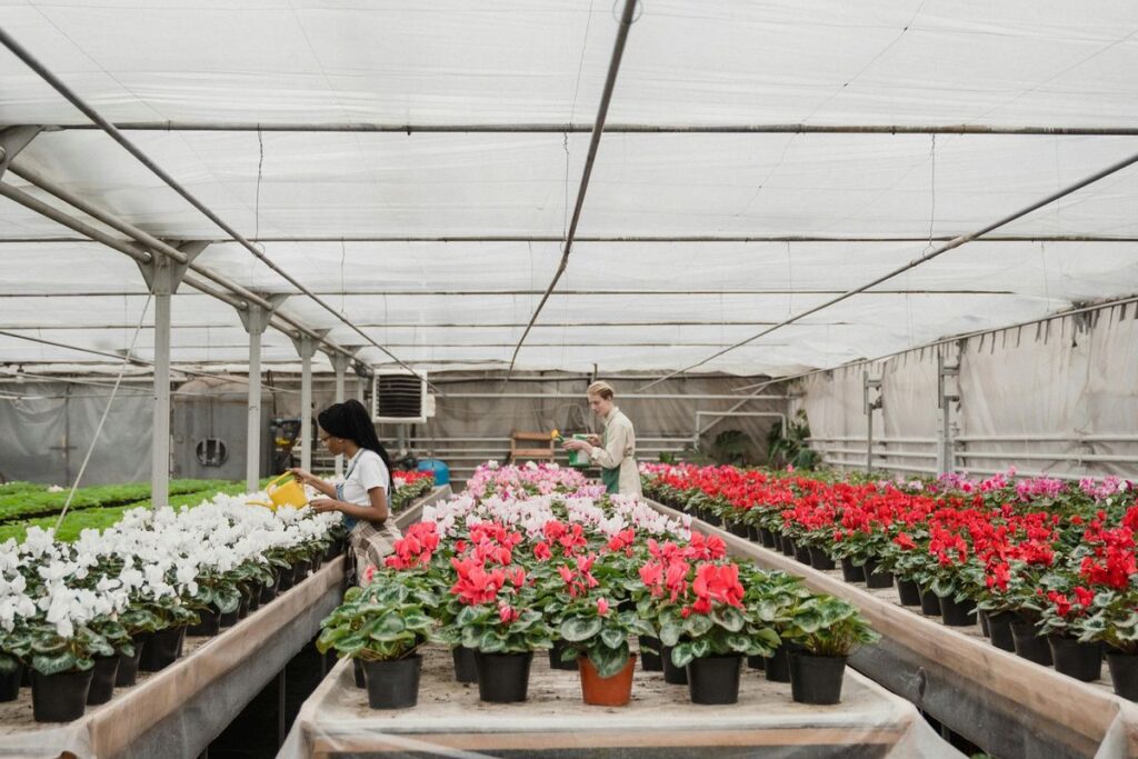 sintegra para floriculturas
