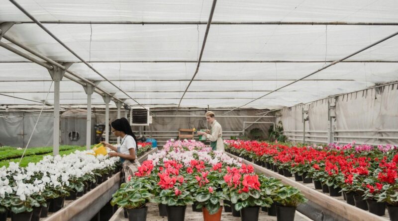 sintegra para floriculturas