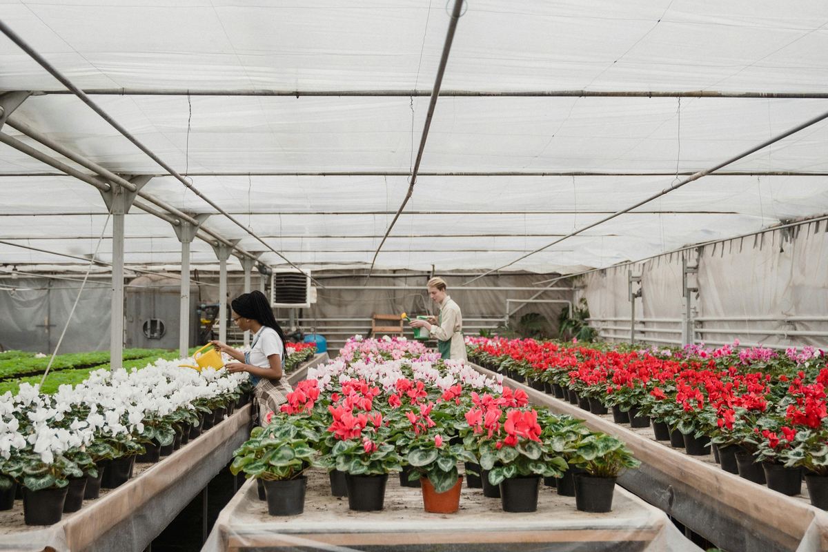 Sintegra para Floriculturas: Otimize Sua Gestão Fiscal 2026 (Guia)