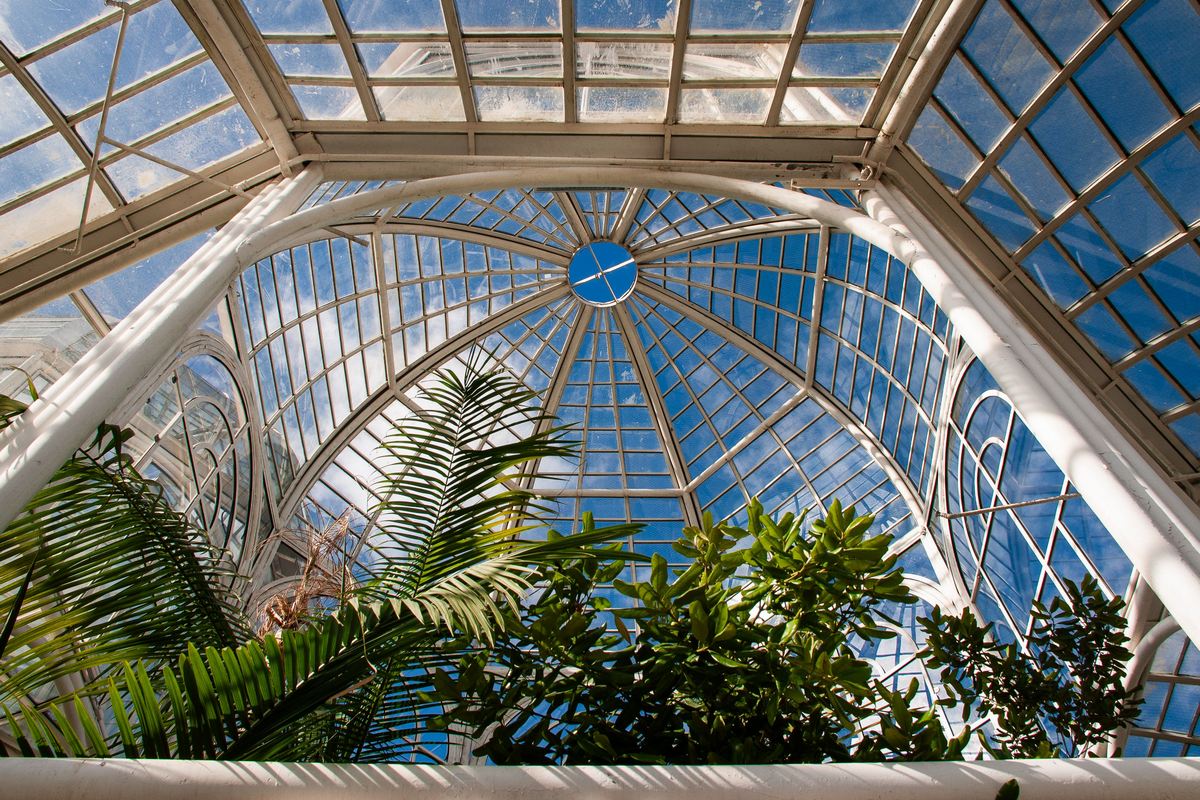 Como cuidar do jardim de inverno