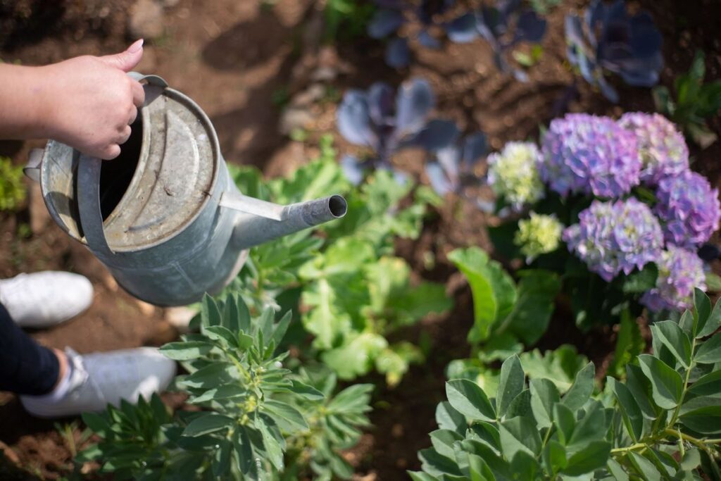 Jardins de Baixa Manutenção para Quem Tem Pouco Tempo 