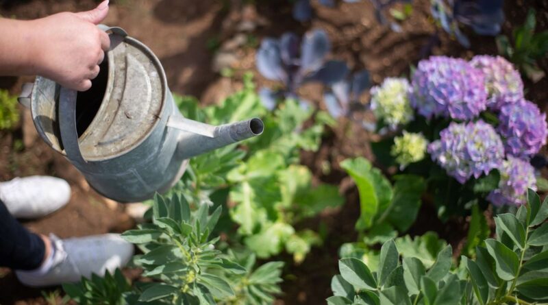 Jardins de Baixa Manutenção para Quem Tem Pouco Tempo 